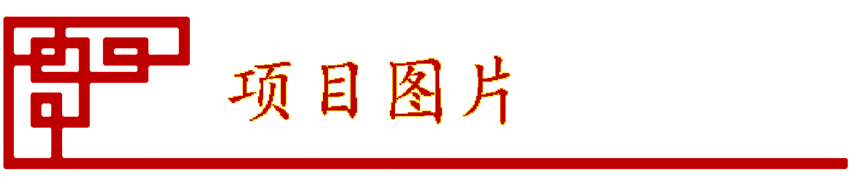 化工行業 · 經典案例(圖2)